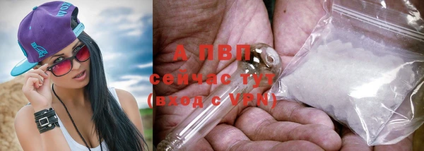 амф Богданович