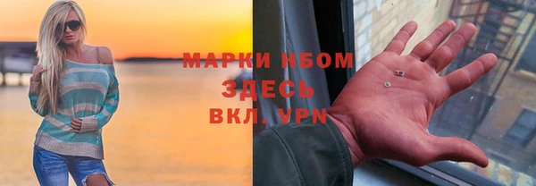 твердый Мегион