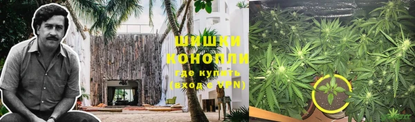 сатива Лагань