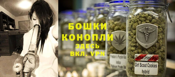 гашик Белокуриха