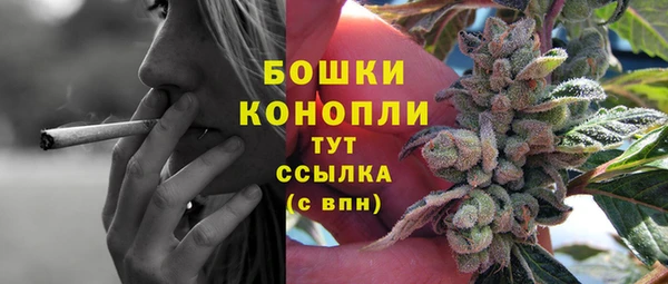гашик Белокуриха
