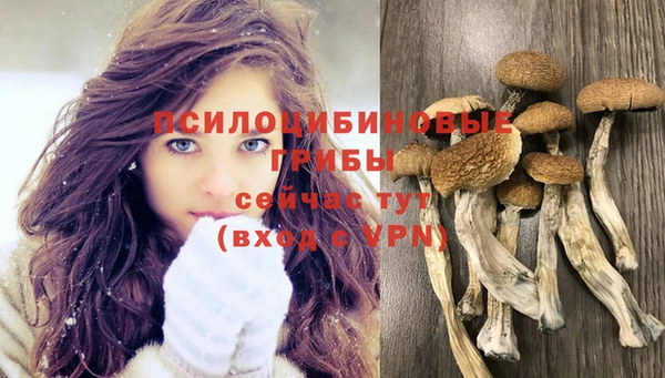 мяу мяу мука Белоозёрский