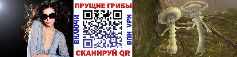 Галлюциногенные грибы MAGIC MUSHROOMS  продажа наркотиков  Белоярский 